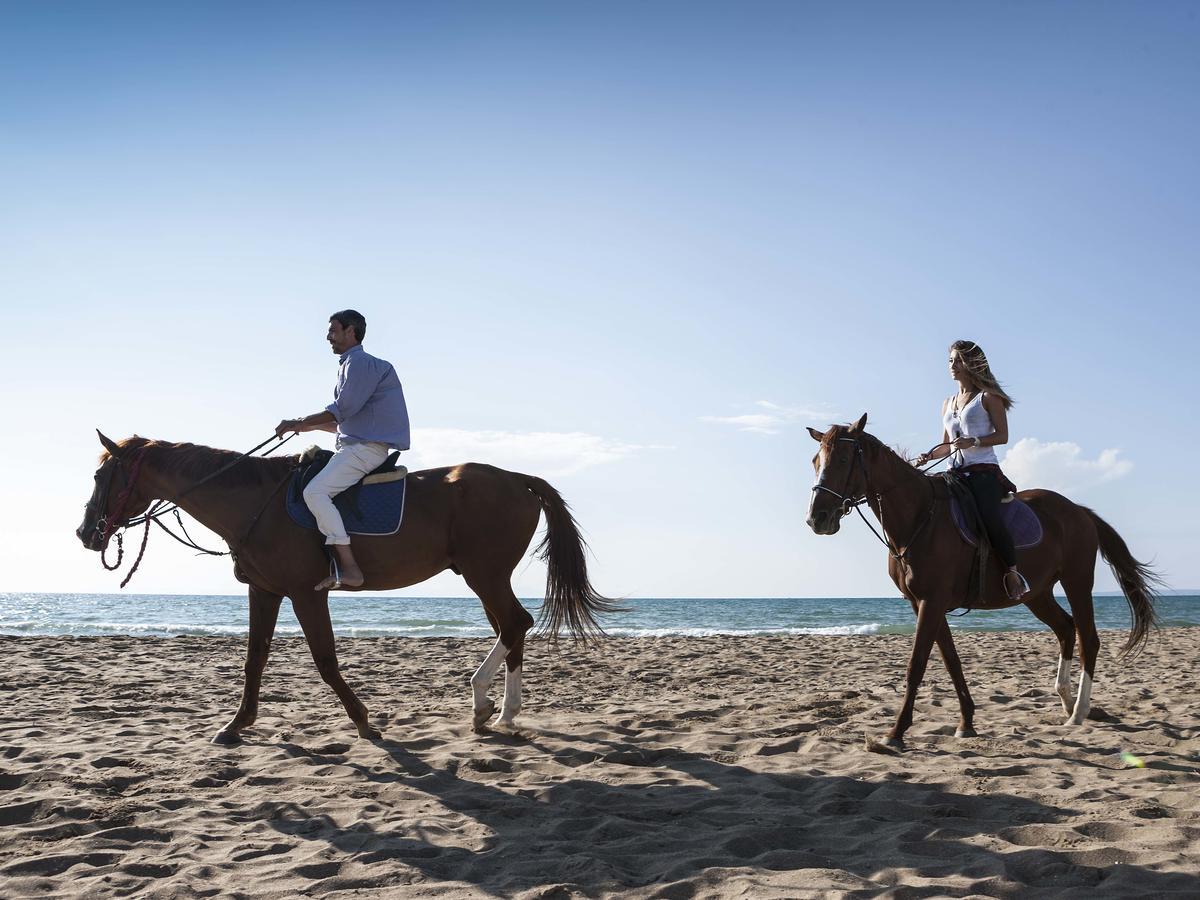 Отель Aldemar Royal Olympian Скафидия Экстерьер фото